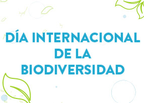 Día de la biodiversidad 